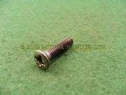 Screw - 2 BA x 3/4" Chrome Pozi