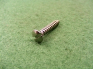 Screw 3/4" Polished Stainless RCSK Slotted S/T